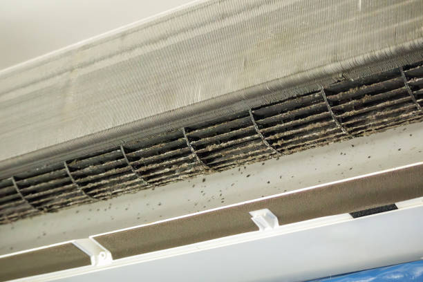 Best Ductwork Cleaning Services  in Stirling, NJ